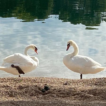 Apartman Put Svete Kate Raslina Buitenkant foto